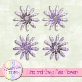 lilac and grey plaid flowers