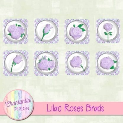 lilac roses brads