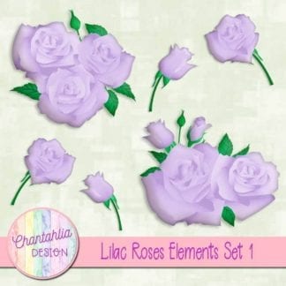 lilac roses elements