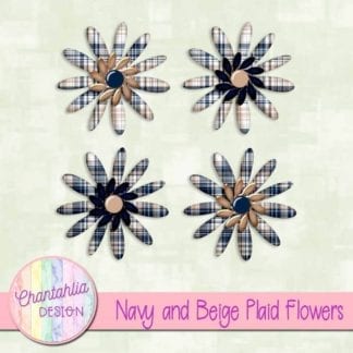 navy and beige plaid flowers