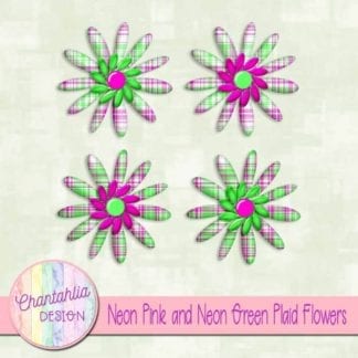 neon pink and neon green plaid flowers