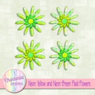 neon yellow and neon green plaid flowers