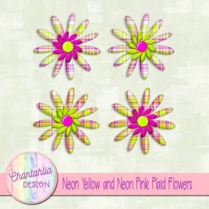 neon yellow and neon pink plaid flowers