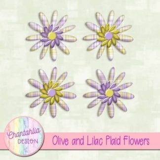 olive and lilac plaid flowers
