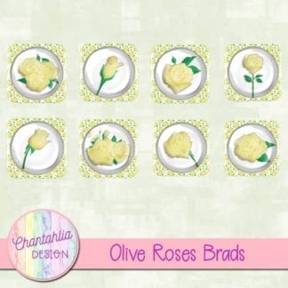 olive roses brads