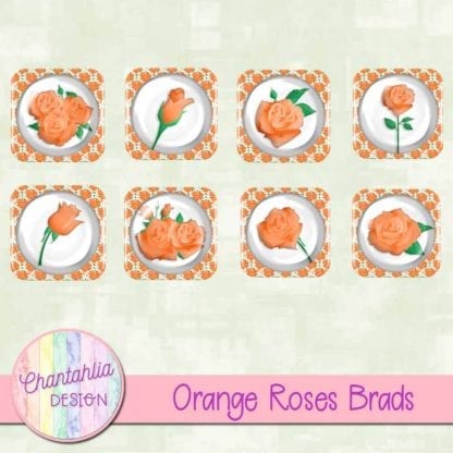 orange roses brads