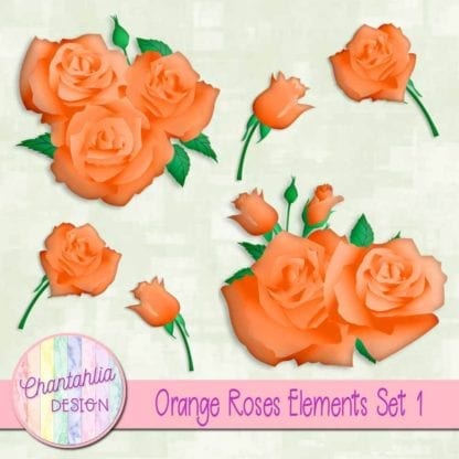 orange roses elements