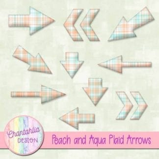 peach and aqua plaid arrows