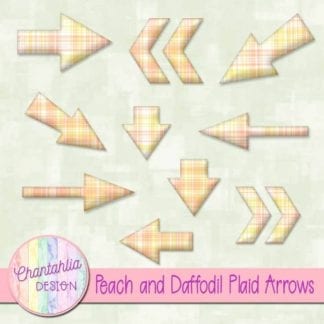 peach and daffodil plaid arrows