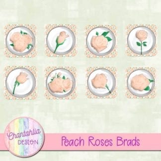 peach roses brads