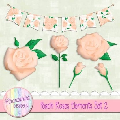 peach roses elements