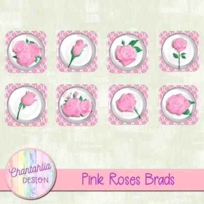 pink roses brads