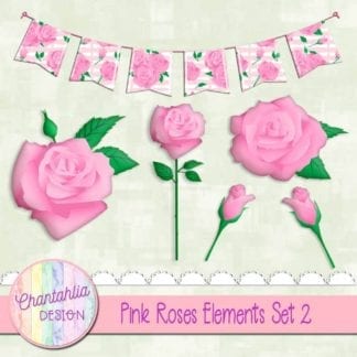 pink roses elements
