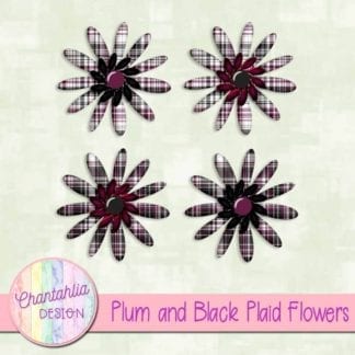plum and black plaid flowers