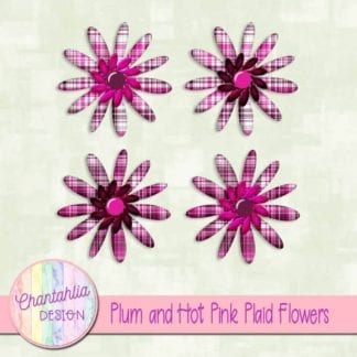 plum and hot pink plaid flowers