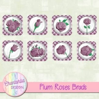 plum roses brads