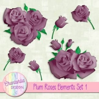plum roses elements