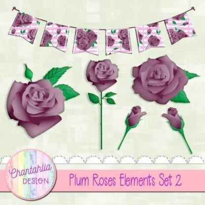 plum roses elements