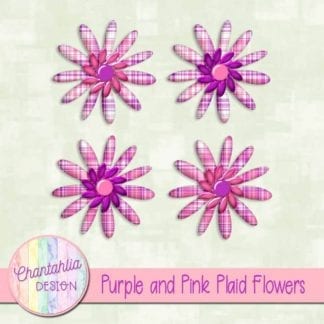 purple and pink plaid flowers