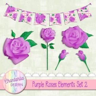 purple roses elements