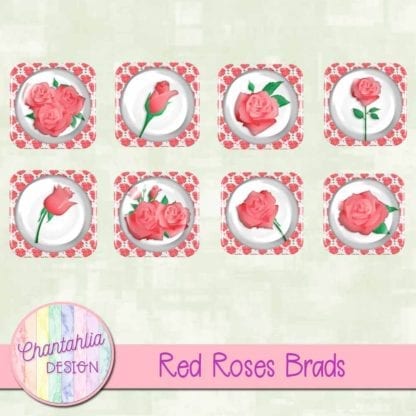 red roses brads