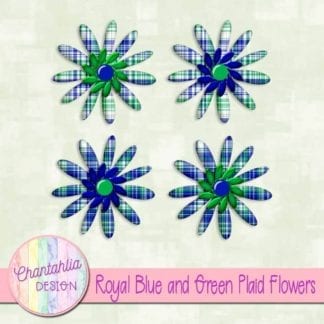 royal blue and green plaid flowers