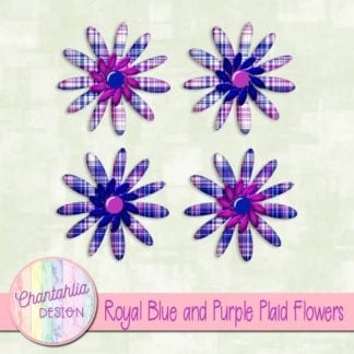 royal blue and purple plaid flowers