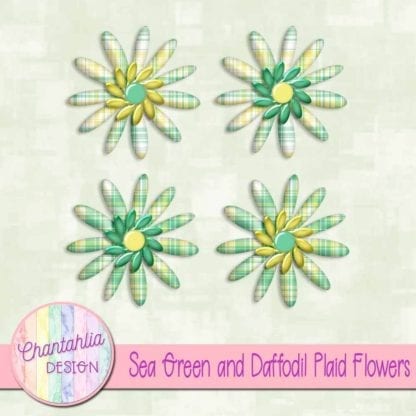 sea green and daffodil plaid flowers