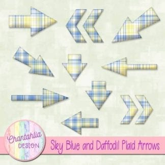 sky blue and daffodil plaid arrows