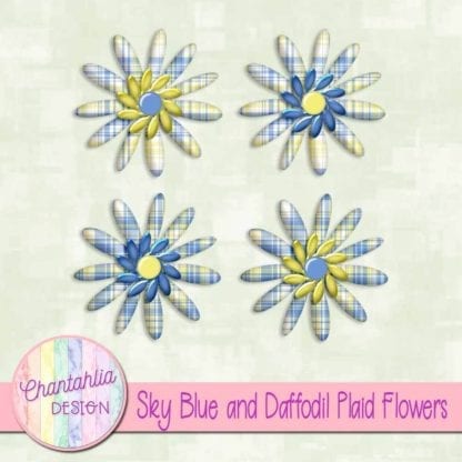 sky blue and daffodil plaid flowers