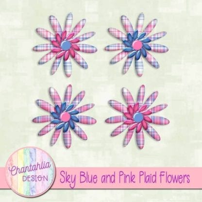 sky blue and pink plaid flowers