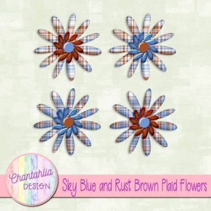 sky blue and rust brown plaid flowers