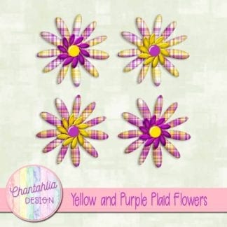 yellow and purple plaid flowers