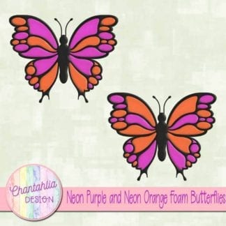free neon purple and neon orange foam butterflies