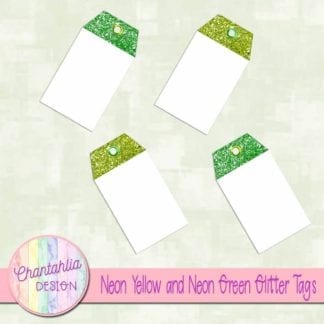 neon yellow and neon green glitter tags