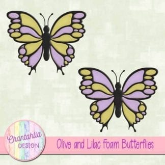 free neon yellow and neon pink foam butterflies