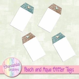 peach and aqua glitter tags