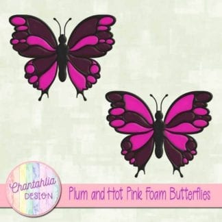 free plum and hot pink foam butterflies