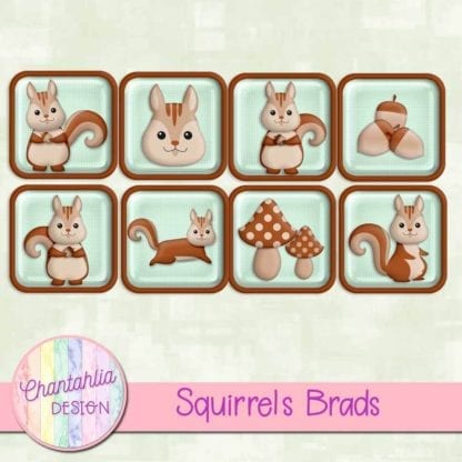 free squirrels brads