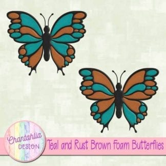free teal and rust brown foam butterflies