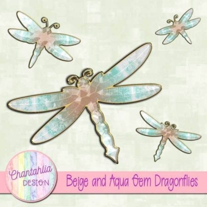 beige and aqua gem dragonflies