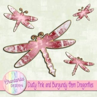 dusty pink and burgundy gem dragonflies