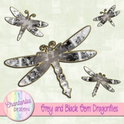 grey and black gem dragonflies