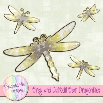 grey and daffodil gem dragonflies