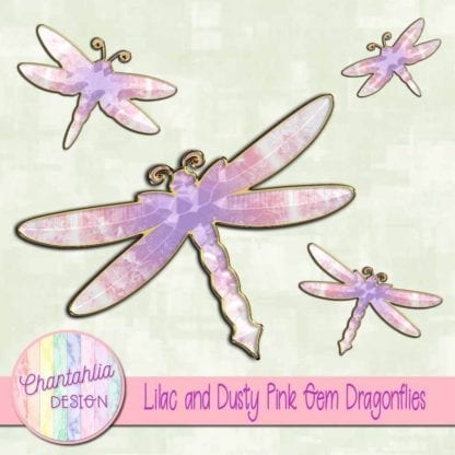 lilac and dusty pink gem dragonflies