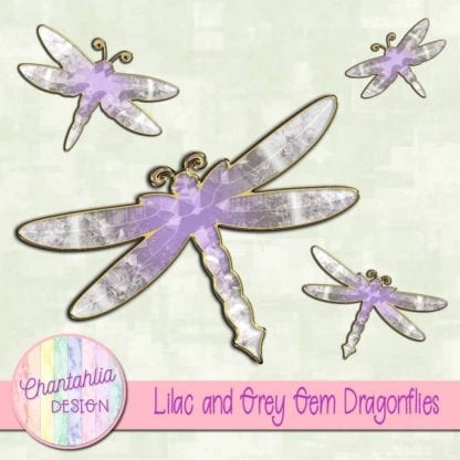 lilac and grey gem dragonflies