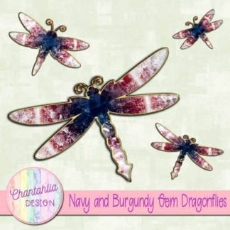navy and burgundy gem dragonflies