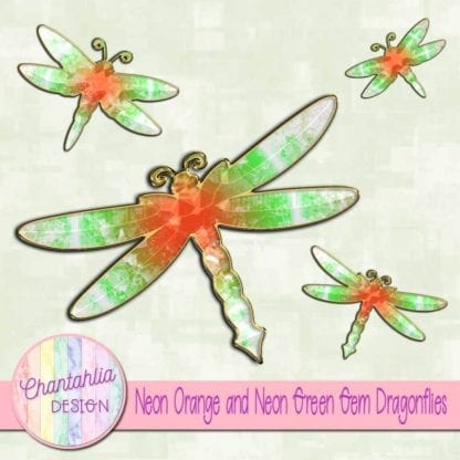 neon orange and neon green gem dragonflies