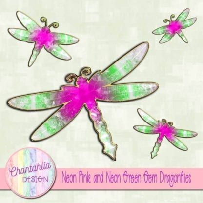 neon pink and neon green gem dragonflies
