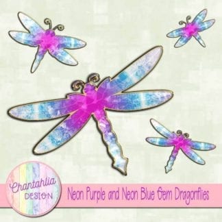 neon purple and neon blue gem dragonflies